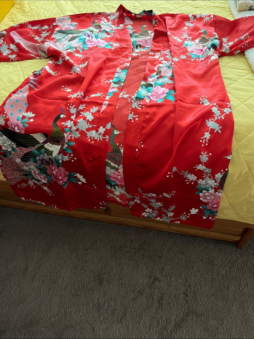 Silk Adult Chinese theme cover up ! Costume idea!!!!!